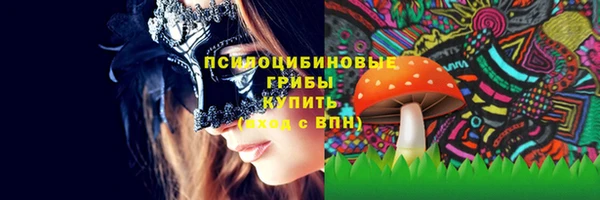 бошки Аркадак
