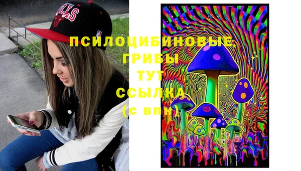 бошки Аркадак