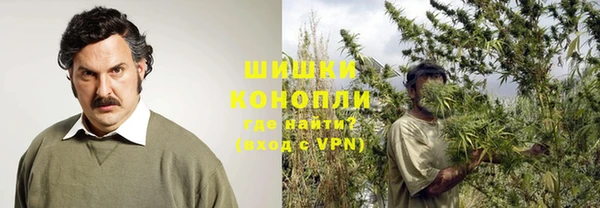 бошки Аркадак