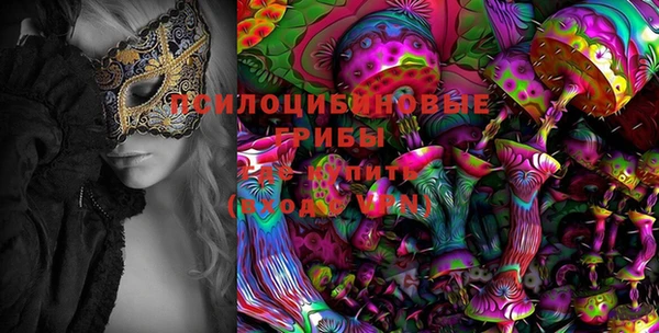 трава Арсеньев